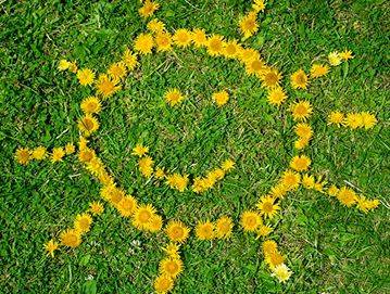 Sonne abgebildet aus gelben Blumen auf grünem Grass